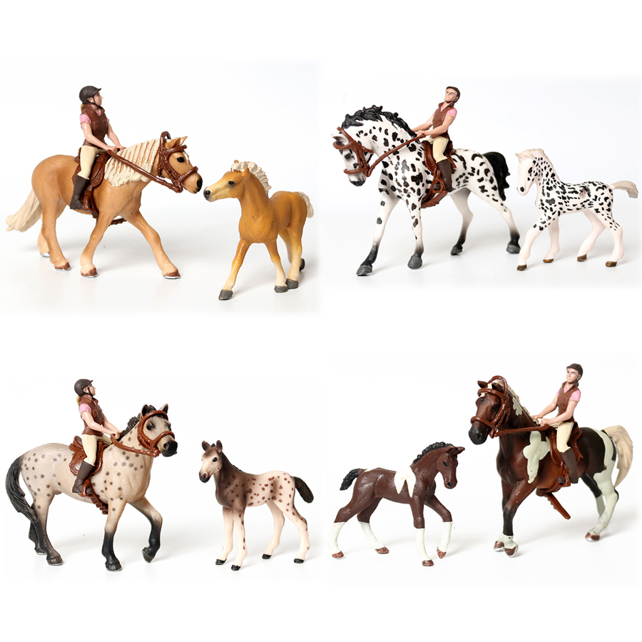 Kids Education Picture - Realista Trakehner Knabstrupper Haflinger Cavaleiro e