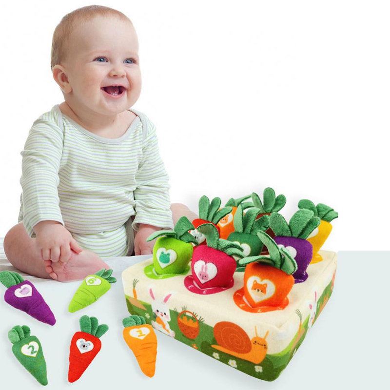 Jogo de Colheita de Cenouras p - Kids Educational Box avaliação e preço
