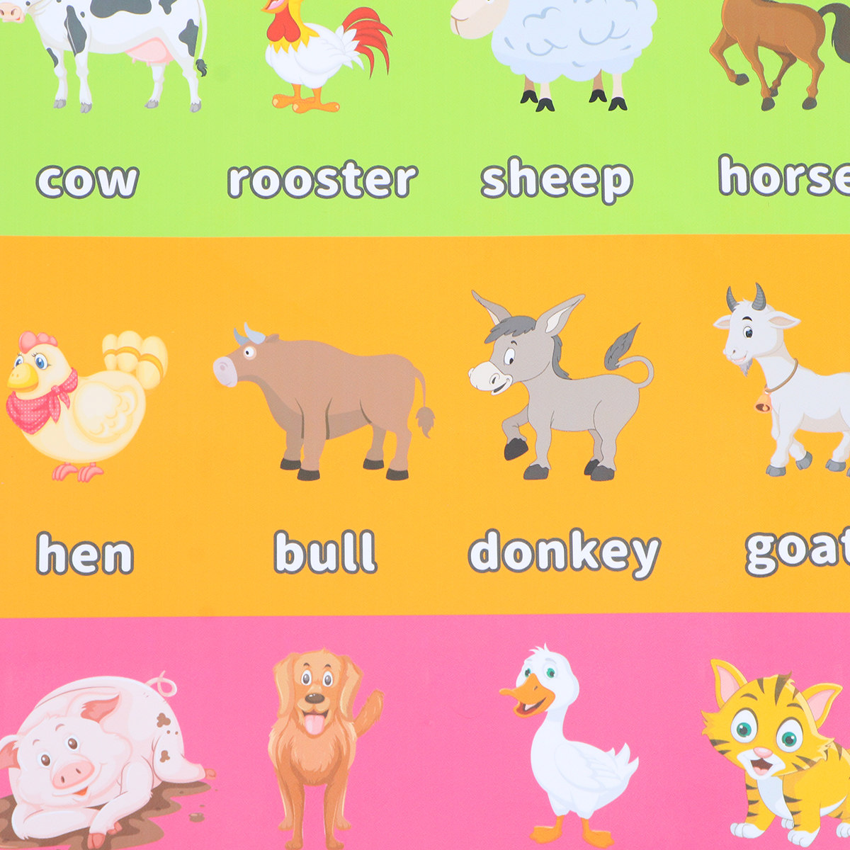 6 Pôsteres Educativos de Anima - Kids Educational Poster avaliação e preço