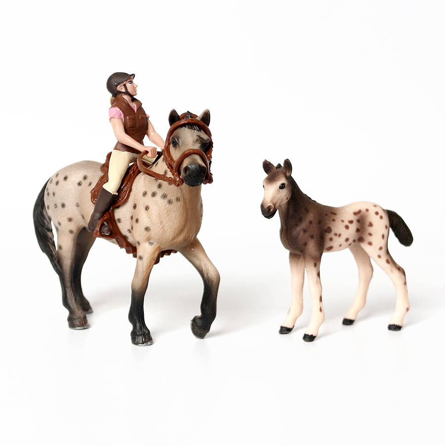 Realista Trakehner Knabstruppe - Kids Education Picture avaliação e preço