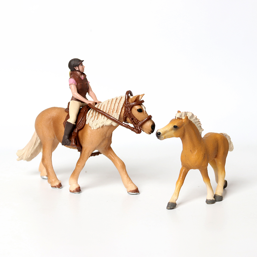 Realista Trakehner Knabstruppe - Kids Education Picture avaliação e preço