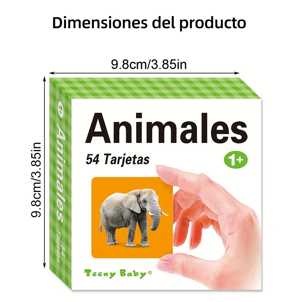 Diferentes tipos de cartões de - Kids Education Card avaliação e preço